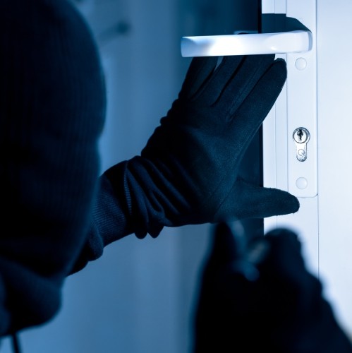 Theft and Property Crimes
